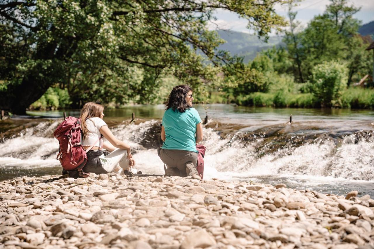 Wellness Pension Am Rain Winden im Elztal Exteriör bild